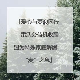 爱心与麦浪同行｜雷沃公益机收联盟为特殊家庭解燃“麦”之急