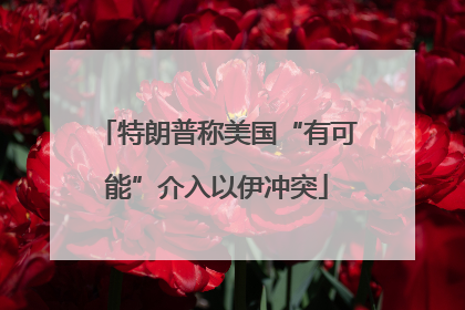 特朗普称美国“有可能”介入以伊冲突