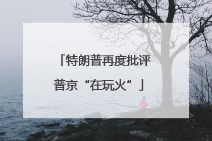 特朗普再度批评普京“在玩火”