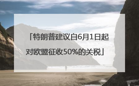 特朗普建议自6月1日起对欧盟征收50%的关税