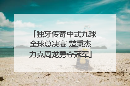 独牙传奇中式九球全球总决赛 楚秉杰力克周龙勇夺冠军