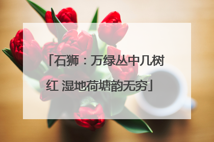 石狮：万绿丛中几树红 湿地荷塘韵无穷