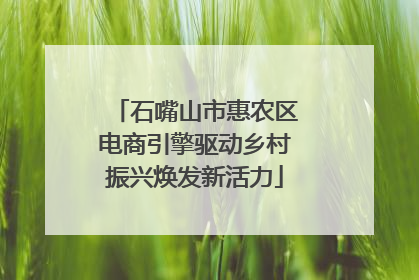 石嘴山市惠农区电商引擎驱动乡村振兴焕发新活力