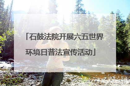 石鼓法院开展六五世界环境日普法宣传活动