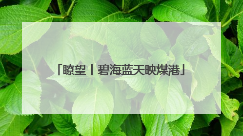 瞭望丨碧海蓝天映煤港