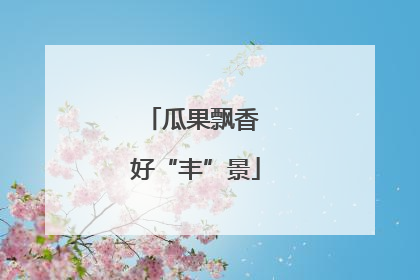 瓜果飘香 好“丰”景
