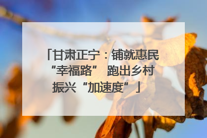 甘肃正宁：铺就惠民“幸福路” 跑出乡村振兴“加速度”