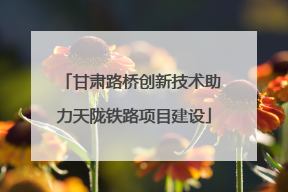 甘肃路桥创新技术助力天陇铁路项目建设