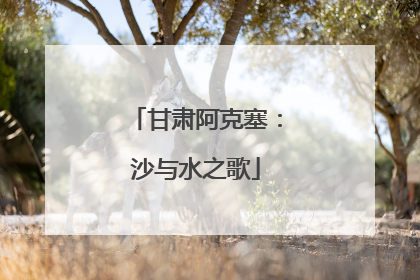 甘肃阿克塞：沙与水之歌