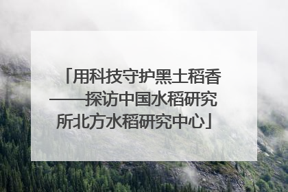 用科技守护黑土稻香——探访中国水稻研究所北方水稻研究中心