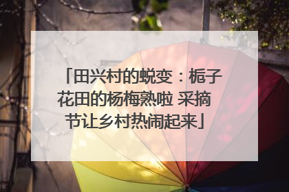 田兴村的蜕变：栀子花田的杨梅熟啦 采摘节让乡村热闹起来
