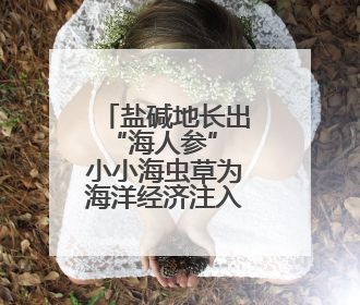盐碱地长出“海人参” 小小海虫草为海洋经济注入新活力