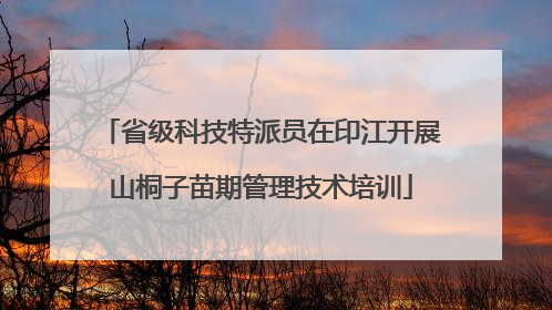 省级科技特派员在印江开展山桐子苗期管理技术培训