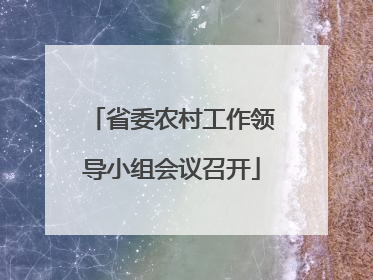 省委农村工作领导小组会议召开