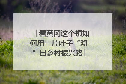 看黄冈这个镇如何用一片叶子“沏”出乡村振兴路