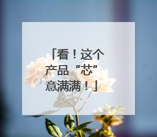 看！这个产品“芯”意满满！