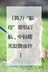 算力“航母”重组启航，中科曙光复牌涨停