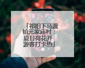 祁阳下马渡镇元家庙村：夏日荷花开 游客打卡热
