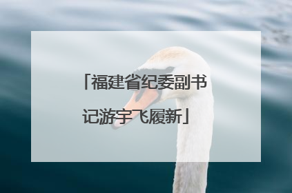 福建省纪委副书记游宇飞履新