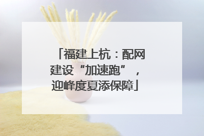 福建上杭：配网建设“加速跑”，迎峰度夏添保障