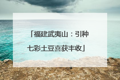 福建武夷山：引种七彩土豆喜获丰收