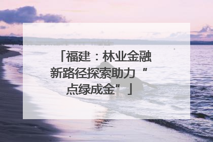 福建：林业金融新路径探索助力“点绿成金”