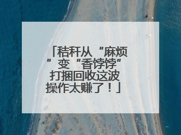 秸秆从“麻烦”变“香饽饽” 打捆回收这波操作太赚了！