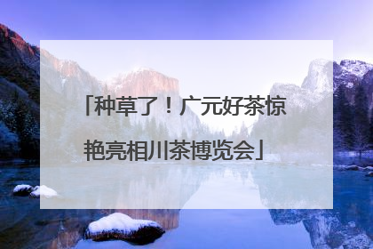 种草了！广元好茶惊艳亮相川茶博览会