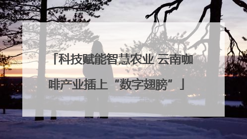科技赋能智慧农业 云南咖啡产业插上“数字翅膀”
