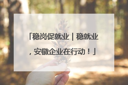 稳岗促就业｜稳就业，安徽企业在行动！