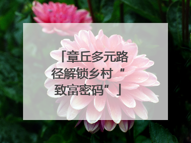 章丘多元路径解锁乡村“致富密码”