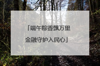 端午粽香飘万里 金融守护入民心