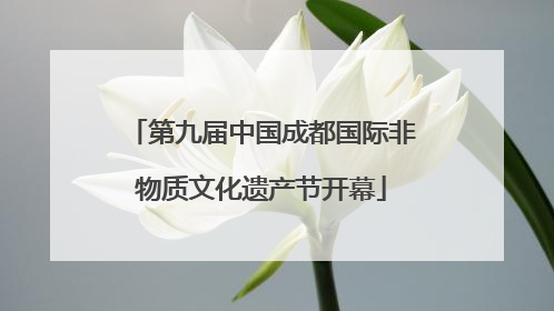 第九届中国成都国际非物质文化遗产节开幕