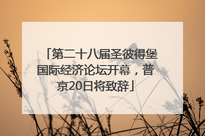 第二十八届圣彼得堡国际经济论坛开幕，普京20日将致辞