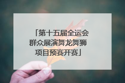 第十五届全运会群众展演舞龙舞狮项目预赛开赛