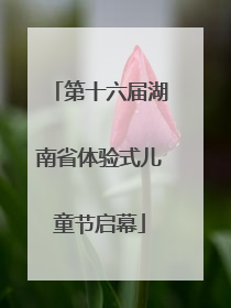 第十六届湖南省体验式儿童节启幕