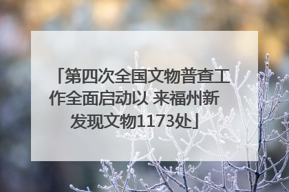 第四次全国文物普查工作全面启动以 来福州新发现文物1173处