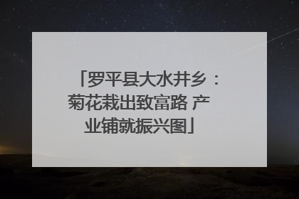 罗平县大水井乡：菊花栽出致富路 产业铺就振兴图