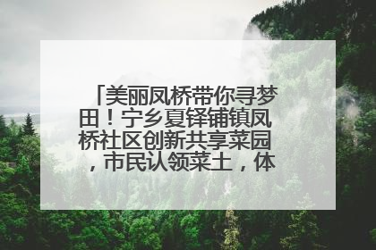 美丽凤桥带你寻梦田！宁乡夏铎铺镇凤桥社区创新共享菜园，市民认领菜土，体验耕种收获乐趣