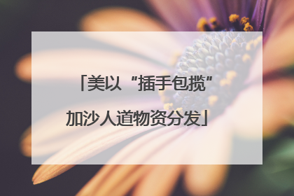 美以“插手包揽”加沙人道物资分发