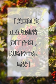 美国证实正在组建特别工作组，以监控中东局势