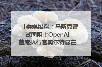 美媒爆料：马斯克曾试图阻止OpenAI首席执行官奥尔特曼在中东的AI交易
