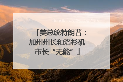 美总统特朗普：加州州长和洛杉矶市长“无能”
