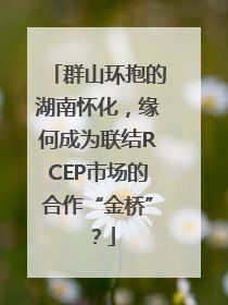 群山环抱的湖南怀化，缘何成为联结RCEP市场的合作“金桥”？