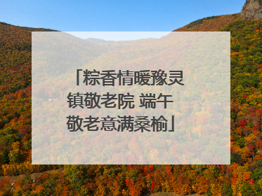 粽香情暖豫灵镇敬老院 端午敬老意满桑榆