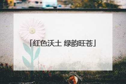 红色沃土 绿韵旺苍