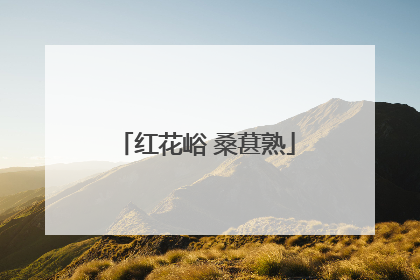 红花峪 桑葚熟