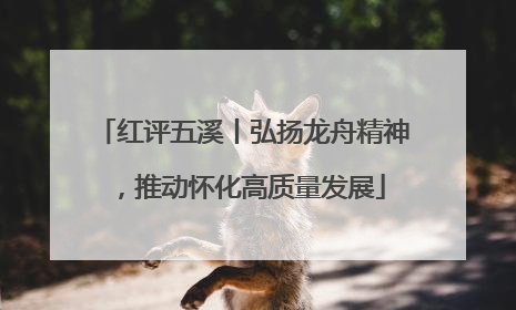 红评五溪丨弘扬龙舟精神，推动怀化高质量发展