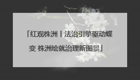 红观株洲丨法治引擎驱动蝶变 株洲绘就治理新图景