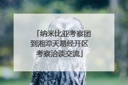 纳米比亚考察团到湘潭天易经开区考察洽谈交流